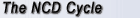 The NCD Cycle